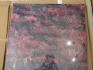 NEW Sleep Token 'Even In Arcadia' Bad World Liquid Filled Vinyl 2LP