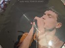 Joy Division ‎– Love Will Tear Us Apart BRAND NEW PICTURE DISC UK SELLER