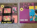 BLACK FLAG IN MY HEAD  LP  SST VINYL PUNK FAMILY MAN  COLOR VINYL SEALED RECORDS