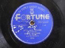 Andre Williams Doo Wop 78 Its All Over bw Bobby Jean on Fortune
