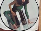 KATE BUSH - THE KICK INSIDE. PICTURE DISC VINYL LP. EMI 1978.