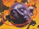 SPEKKI WEBU - Bootstrap Paradox - Vinyl (2xLP + MP3 download code)