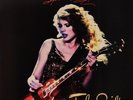 Taylor Swift - Speak Now World Tour Live Double Red Vinyl Record (2-LP)