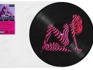 Madonna Confessions II Picture Disc LP Grindr Limited Edition Presale