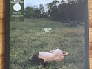 Kacey Musgraves - Deeper Well - LP - TRANSPARENT CREAM - LIMITED EDITION COVER