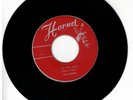 #84 R&B SKA SHUFFLE 45 HORNET LABEL THE ECHOES 