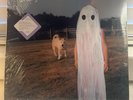 Phoebe Bridgers - Stranger In The Alps - Limited Lavender Vinyl