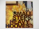 Dear And The Headlights Small Steps Heavy Hooves 2 x Vinyl LP Limited Edition