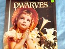 Dwarves -  Thank Heaven For Little Girls  Sub Pop Vinyl LP 33 RPM