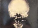 Ministry The Mind Is A Terrible Thing To Taste LP Album Vinyl 12” Record