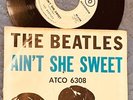 BEATLES 1964 USA ATCO 45 AINT SHE SWEET WHITE LABEL PROMO w/PIC SLEEVE SHERIDAN
