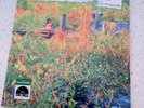 RSD Jhene Aiko TRIP 2 LP Picture Disc Exclusive 2026 Limited Edition - SEALED