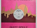 BOOGIE / DISCO-FUNK - RAW SILK - DO IT TO THE MUSIC - WEST END RECORDS OG PRESS