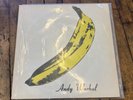 Velvet Underground & Nico Self-Titled Vinyl Record V6 5008 VG+