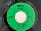 A.J. Sparks & Spark Plugs - In The Pocket 1973 Woody 45 RARE Deep Funk Breaks