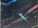 Chameleon, Techno-Color; LP with POSTER + LYRIC INSERT/MERCH FORM