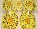 King ELVIS Presley 70th Ann. SUN-SPLATTER  ALL 5 10