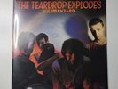 THE TEARDROP EXPLODES/Kilimanjaro/Vinyl LP Album 1980 US Debut Album Autographed