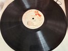DUB SPECIALIST - ROOTS DUB, STUDIO ONE LP