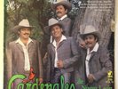 Los Cardenales De Nuevo Leon - Y Que Mas Da Vol. IV (1 x LP, 1990 MX, VG+)