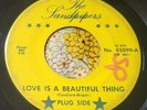 Florida GIRLS IN THE GARAGE 45 Sandpipers Love is a Beautiful Thing HEAR