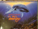 The Beach Boys - Summer In Paradise (COLOR VINYL) - POP *SEALED/COLOR*