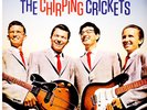 Crickets - The Chirping Crickets (Vinyl LP - 1957 - Reissue)