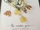 The Wonder Years - Burst & Decay (An Acoustic EP) 12