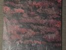 Even In Arcadia• Sleep Token • Pink Liquid Vinyl with black & red splatter