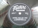 Feature Records 3011 / 78 rpm Shellac / Richard & Bad Men w/WHERE YOU GO JOE?/EX