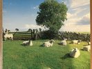 The KLF Chill Out JAMS LP5 1990 12