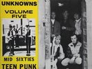 Various - Garage Punk Unknowns Volume Five (LP) (Very Good Plus (VG+)) - 4042497