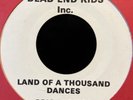Garage 45 DEAD END KIDS Land Of A Thousand Dances NO LABEL Old Man River HEAR
