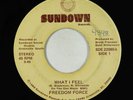 Modern Soul 45 - Freedom Force - What I Feel - Sundown
