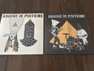 BRAND NEW - ANGINE DE POITRINE Vol. 1 5th press + vol 2 1st press vinyl