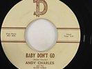 Andy Charles & The Blues Kings 