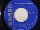 Muddy Waters 