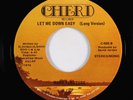 Modern Soul Disco 45 - Rare Pleasure - Let Me Down Easy - Cheri NM