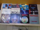 12 LP Record Lot:  ROCK  70's  Van Halen -Nazareth-Squeeze-Montrose-Blue Oyster