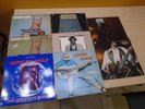 8 LP Record Lot:  BLUES 60's 70's Howlin' Wolf -Muddy Waters-Bo Diddley .....