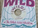 The Rhythm Shakers – Hit The Road / Love Spilled Across The Floor NM