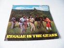 V/A 'REGGAE IN THE GRASS' LP UK STUDIO ONE 1968 THE CONSUMATES JOHN HOLT SKA