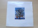 Talk Talk/Spirit Of Eden/1988 Parlophone LP/EX