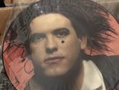 The Cure Peel Sessions Picture Disc Vinyl Ltd Ed Strange Fruit 45 RPM
