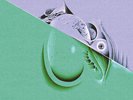 Razen Stained Glass Starling (Vinyl) 12