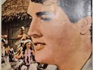 ELVIS PRESLEY-PARADISE,HAWAIIN STYLE- Original JAPAN Movie-Program - Rare