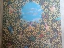Wizz Jones LP Magical Flight UK Plant Life 1st Press & INSERT BEST IVE EVER HAD