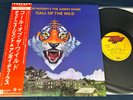 TED NUGENT & AMBOY DUKES 