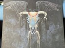 Eagles, One Of These Nights 1975 Original Asylum 70–1034 Early Press