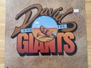 PROMO - MINT -  David And The Giants ‎– David And The Giants - RARE